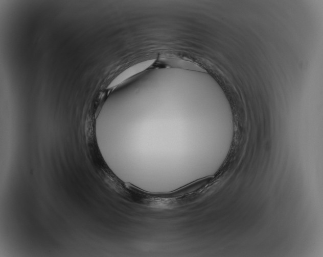 X0000086730096200705111623