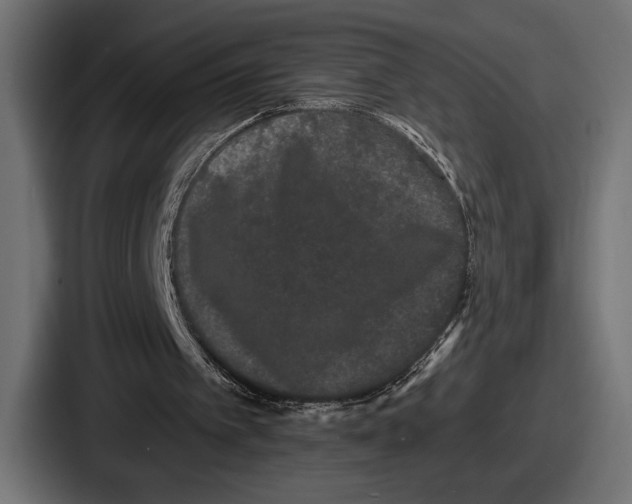 X0000086730097200705111623