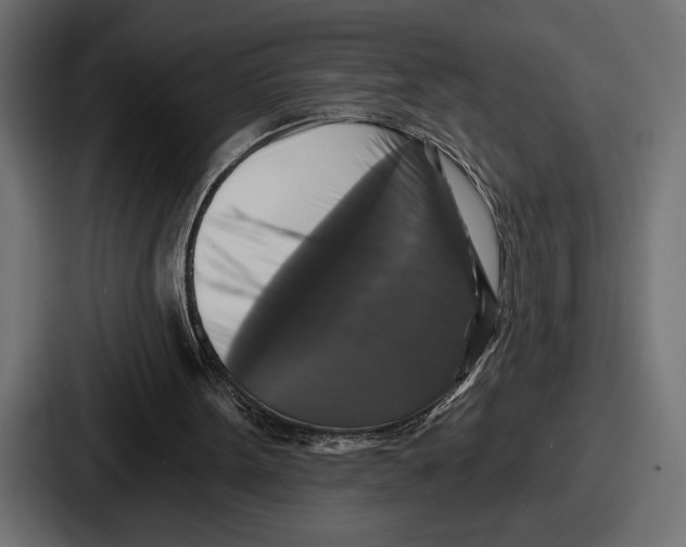 X0000086730099200705111623