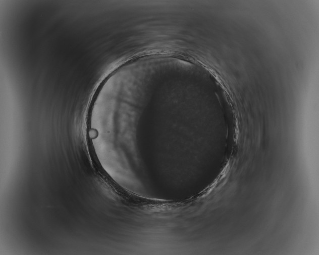 X0000086730100200705111623