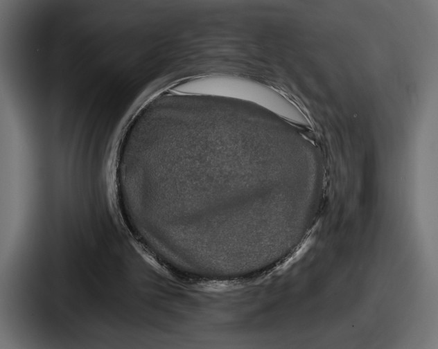 X0000086730101200705111623
