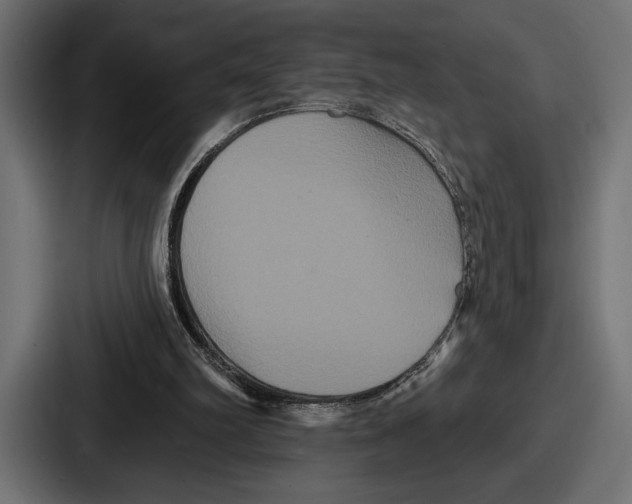 X0000086730102200705111623