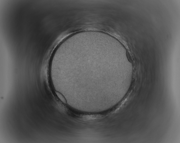 X0000086730103200705111623