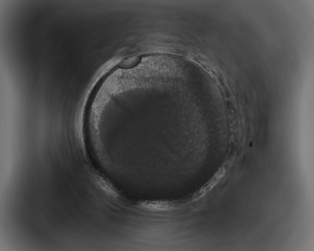 X0000086730104200705111623