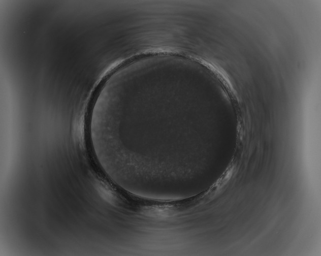 X0000086730108200705111623