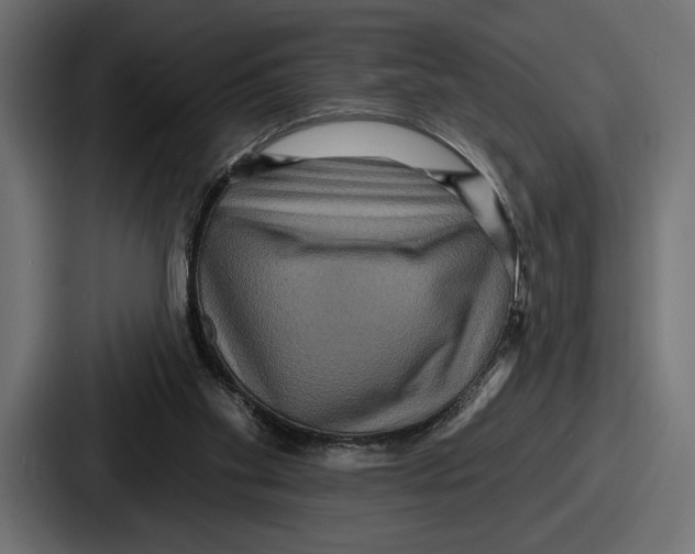 X0000086730109200705111623