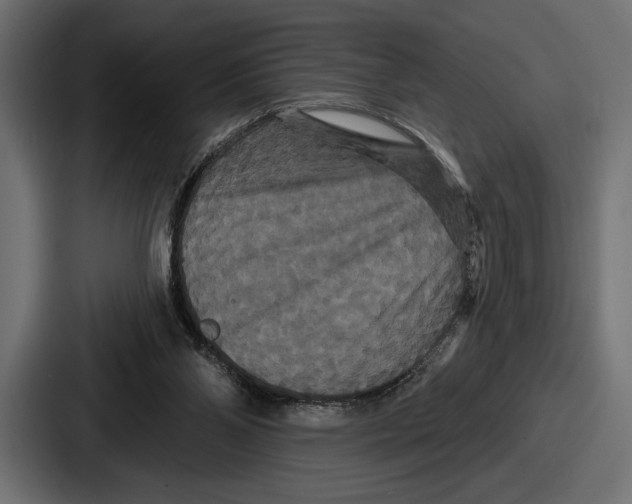 X0000086730110200705111623