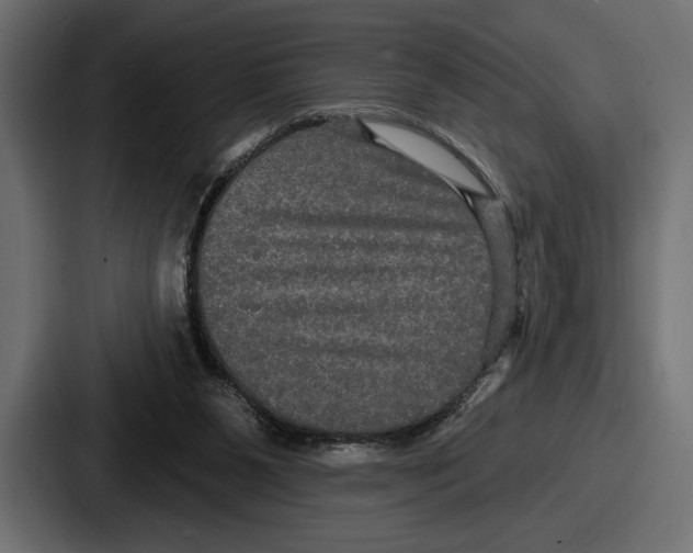 X0000086730111200705111623