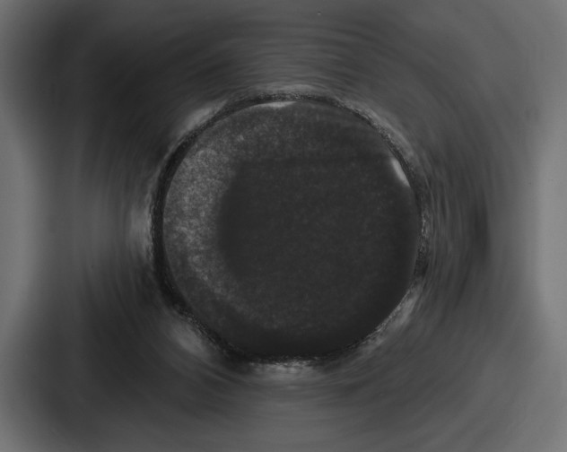 X0000086730112200705111623