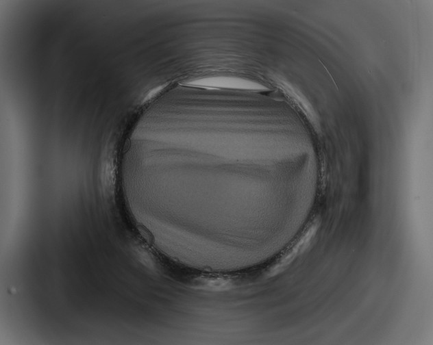 X0000086730113200705111623