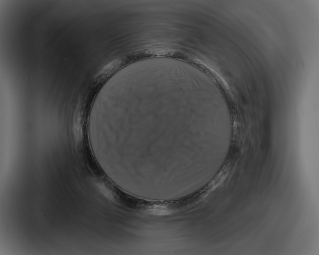 X0000086730114200705111623