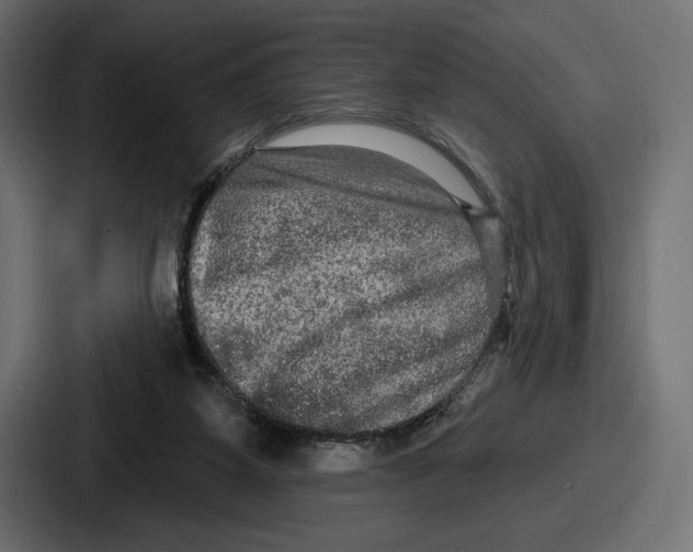X0000086730115200705111623