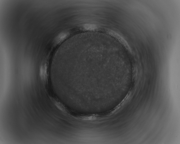 X0000086730116200705111623