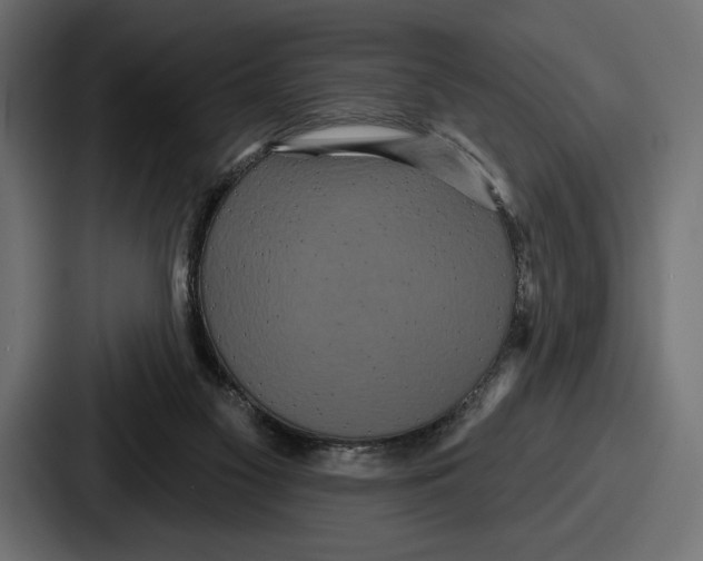 X0000086730117200705111623