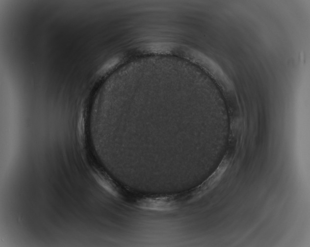 X0000086730120200705111623