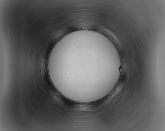 X0000086730121200705111623