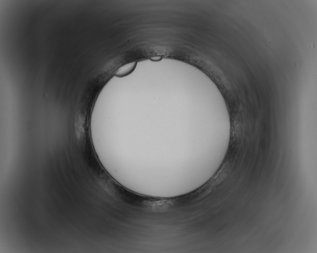 X0000086730122200705111623