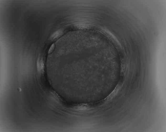X0000086730124200705111623