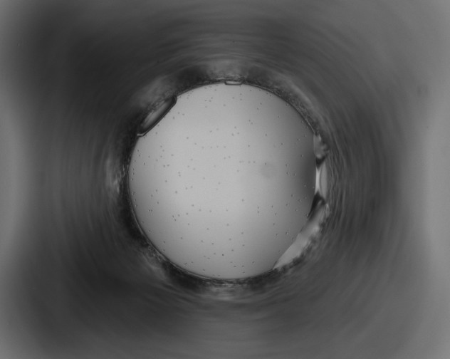 X0000086730125200705111622