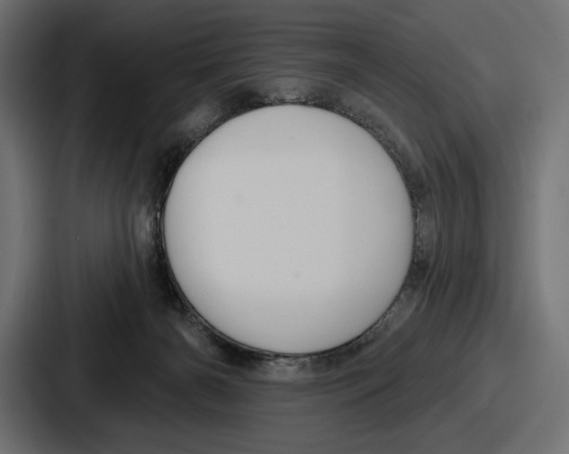 X0000086730126200705111622