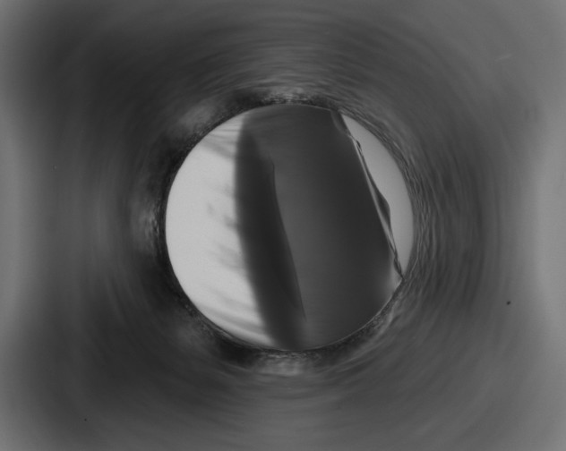 X0000086730127200705111622
