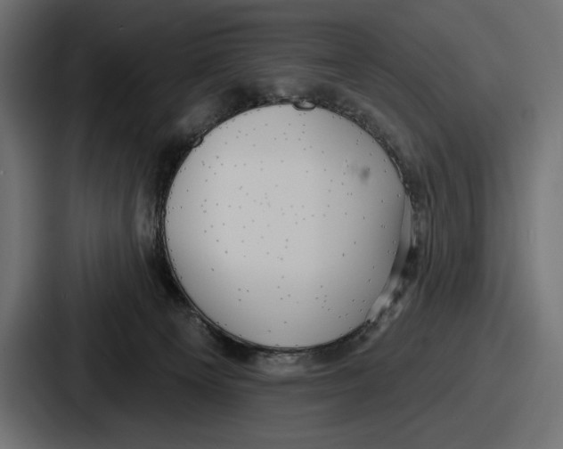 X0000086730129200705111622
