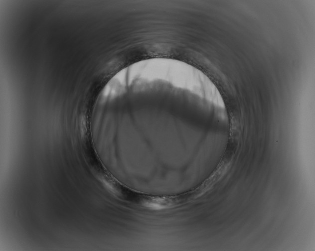 X0000086730130200705111622