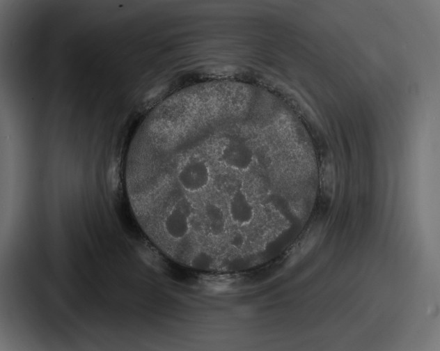 X0000086730131200705111622