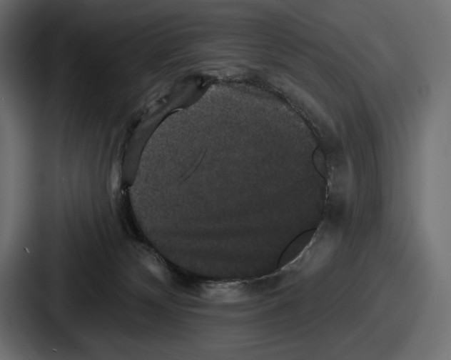 X0000086730132200705111622