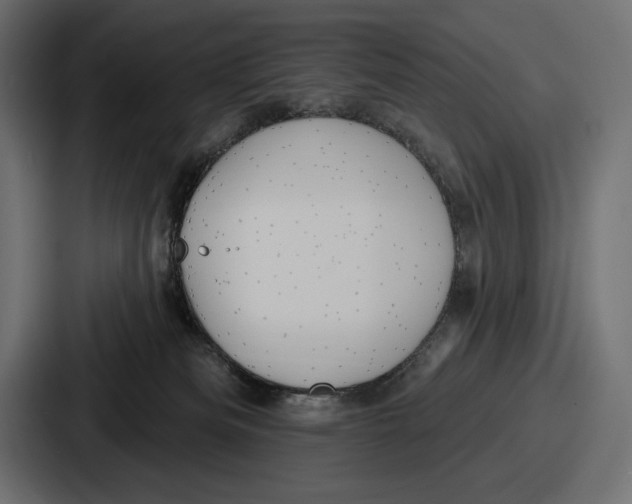 X0000086730133200705111622