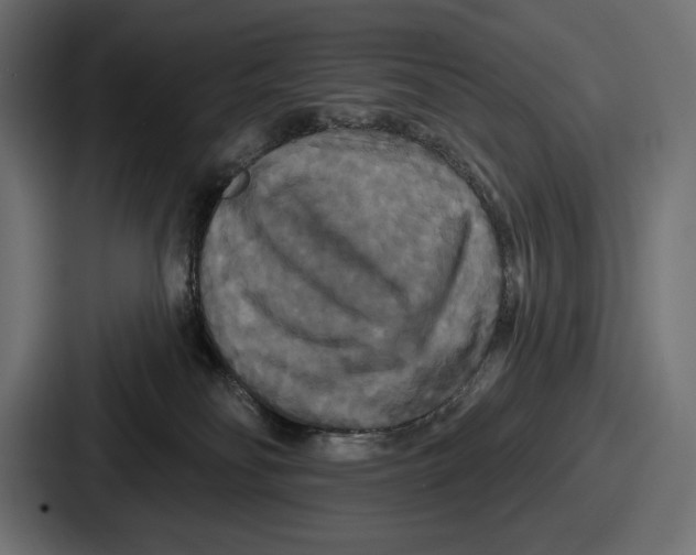 X0000086730134200705111622