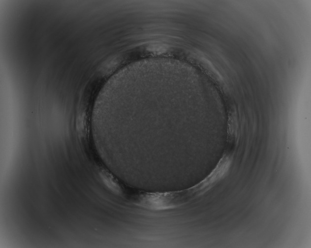X0000086730136200705111622