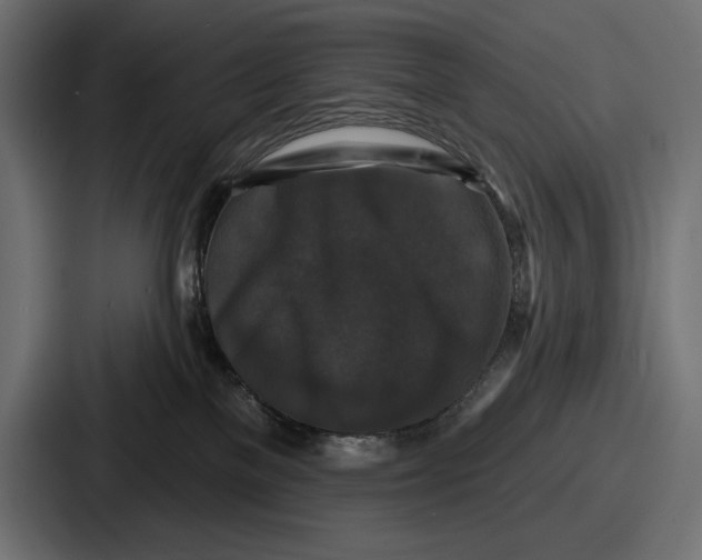 X0000086730137200705111622