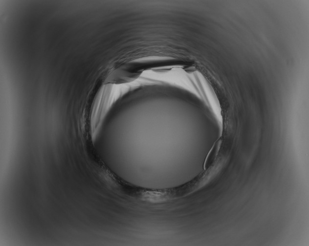 X0000086730139200705111622