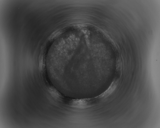 X0000086730140200705111622
