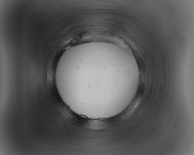 X0000086730141200705111622
