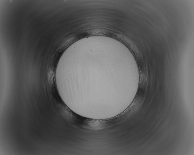X0000086730142200705111622