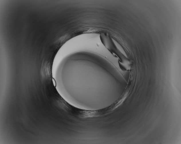 X0000086730143200705111622