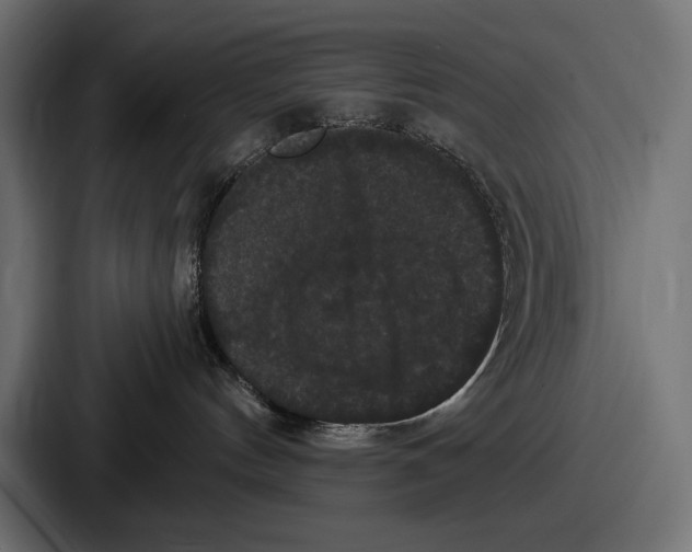 X0000086730144200705111622