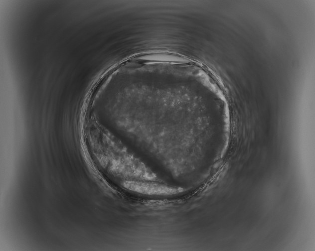 X0000086730145200705111622