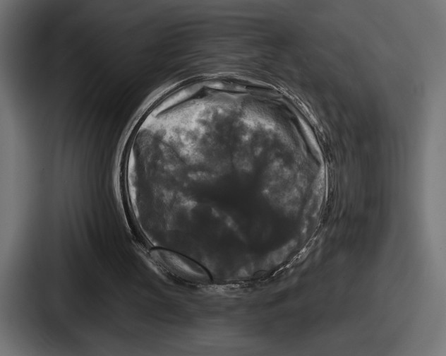 X0000086730147200705111622
