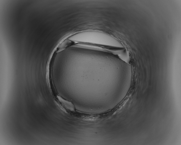X0000086730148200705111622
