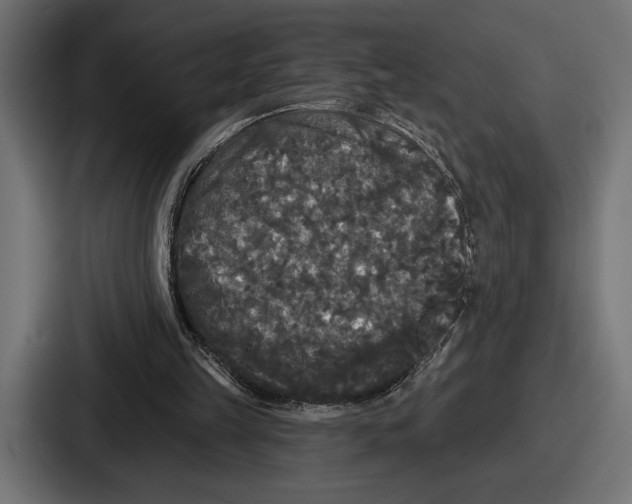 X0000086730149200705111622