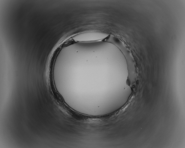 X0000086730150200705111622