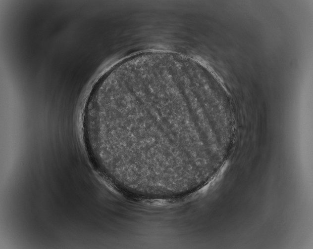 X0000086730151200705111622