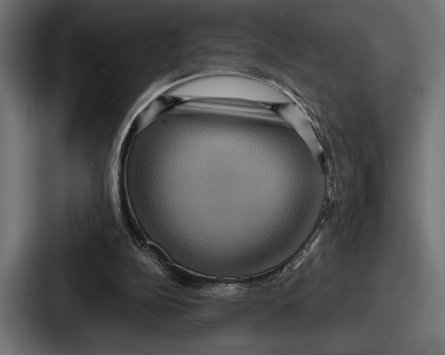 X0000086730152200705111622