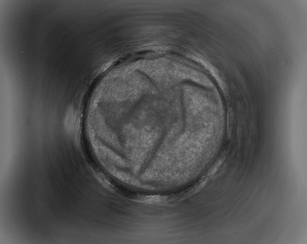 X0000086730153200705111622