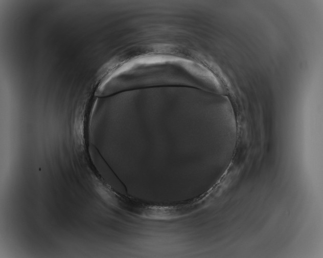 X0000086730154200705111622