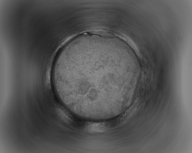 X0000086730155200705111622