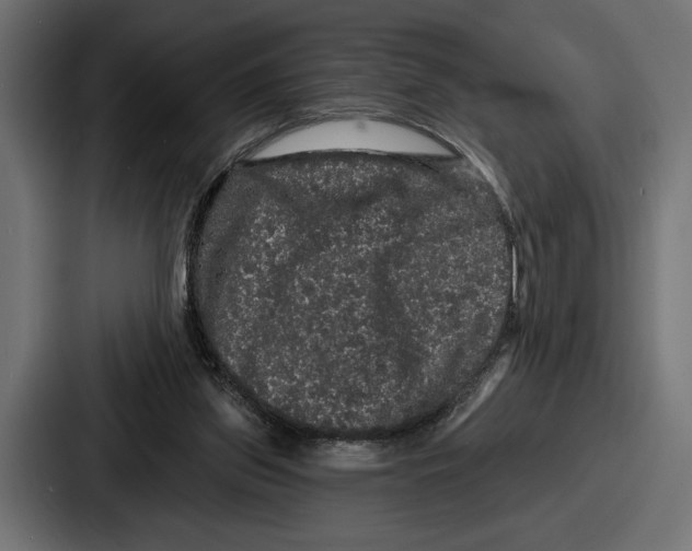 X0000086730157200705111622